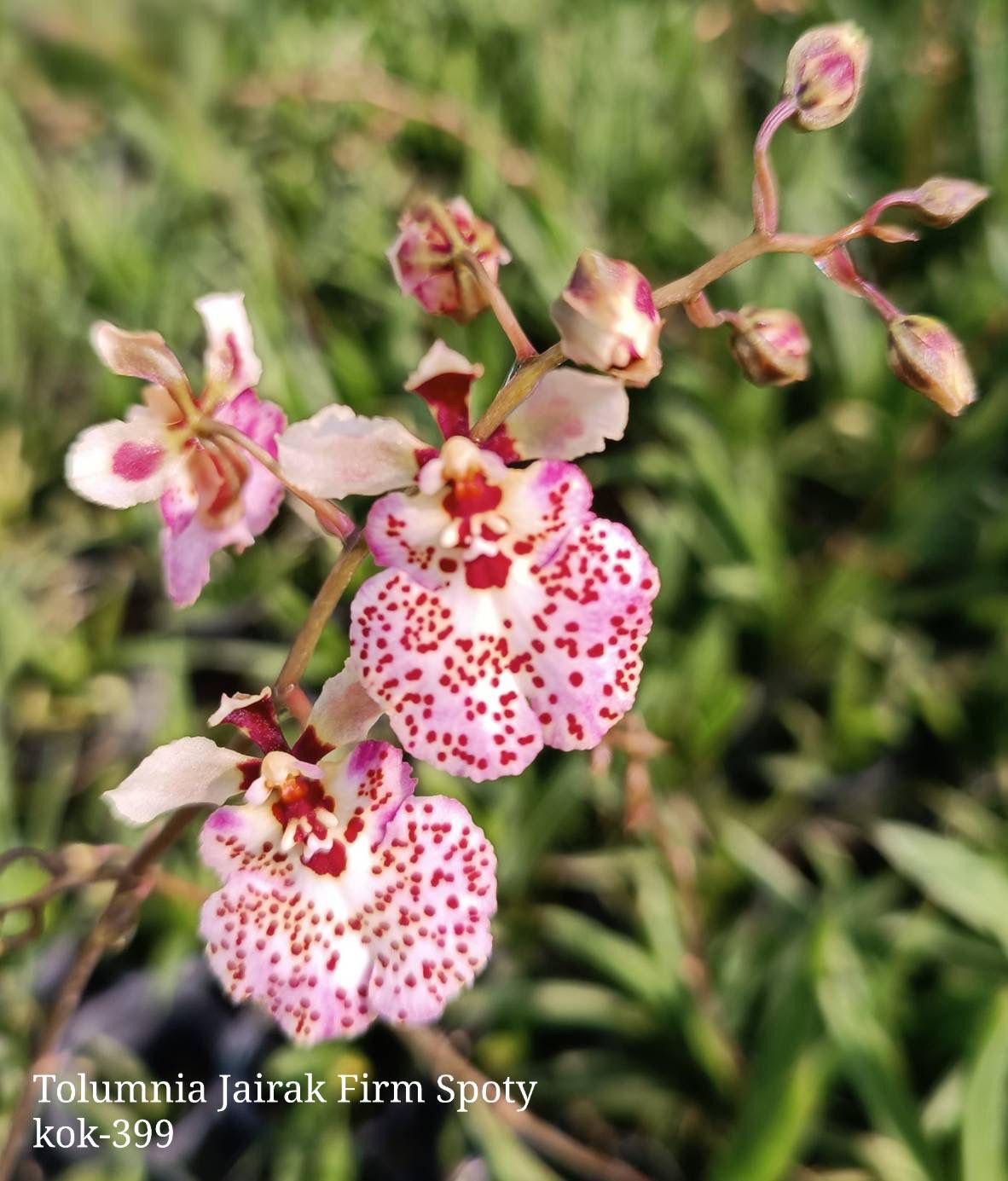 Ovulyatsiya paytida men prezervativ bilan jinsiy aloqada boldim. Xorijiy porno videolarni tomosha qiling