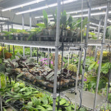 24" T10 Professional LED Grow Light Tube (15W)