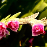 Dendrobium Tropical Rosea